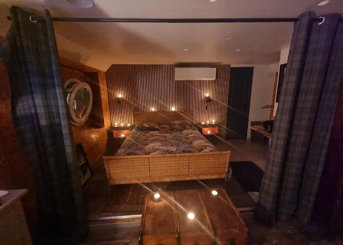 Lejlighed Magnifique Peniche Cosy Et Spacieuse A Toulouse