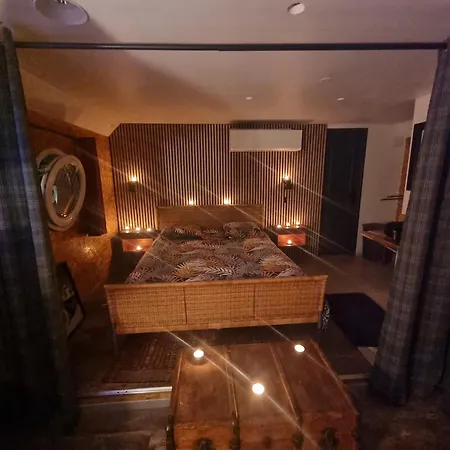 דירה Magnifique Peniche Cosy Et Spacieuse A טולוז