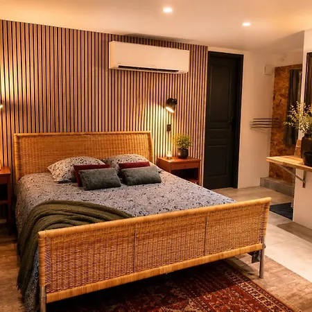 Magnifique Peniche Cosy Et Spacieuse A 圖盧茲