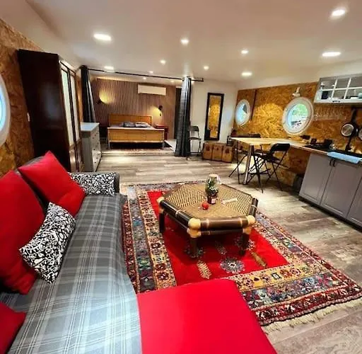 Magnifique Péniche Cosy Et Spacieuse à Toulouse