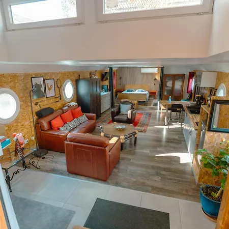 Magnifique Peniche Cosy Et Spacieuse A アパート トゥールーズ