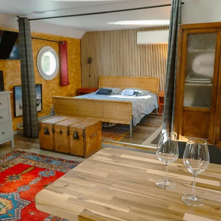 Lejlighed Magnifique Peniche Cosy Et Spacieuse A Toulouse